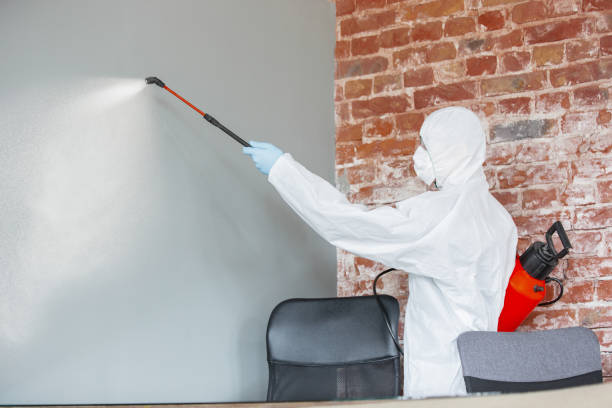 Best Industrial Mold Remediation  in Friendly, MD