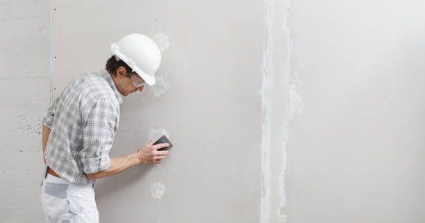 Best Mold Removal for HVAC Installations  in Friendly, MD